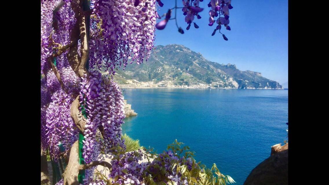 Villa Petit Ludovica Ravello Ngoại thất bức ảnh